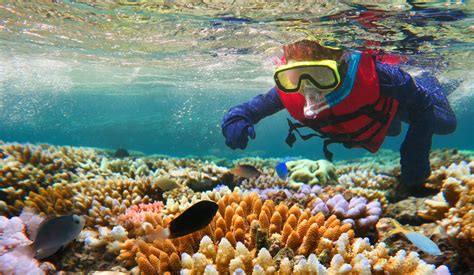 The Great Barrier Reef: A Window into the Past